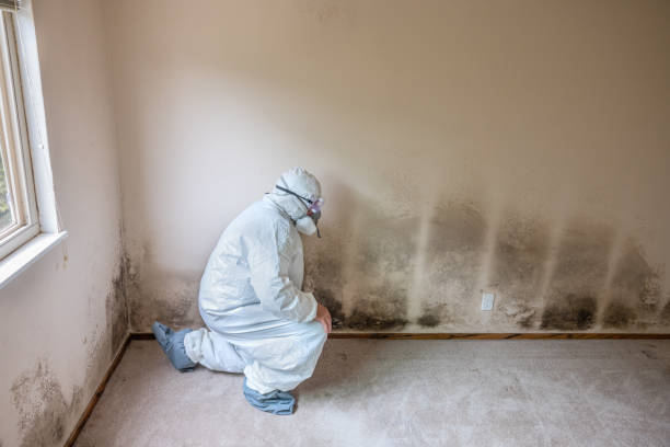 Best Crawl Space Mold Removal  in Fairport Harbor, OH